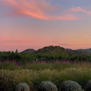 Meet your Posher, Roman